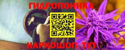 сатива Балаково